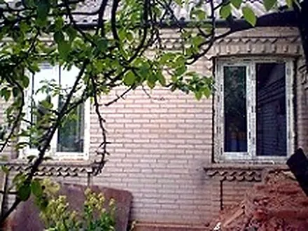 Металопластикові вікна у цегляному будинку із садом, Звягельський район